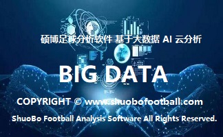 硕博走地大球分析系统